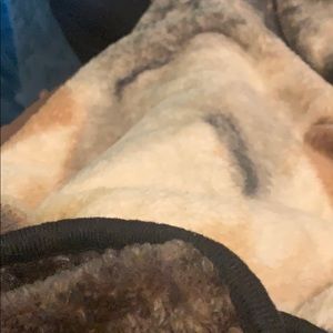 Meet your Posher, Karlye